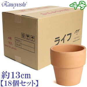 Aؔ   TCY 13cm Ct4 f @18