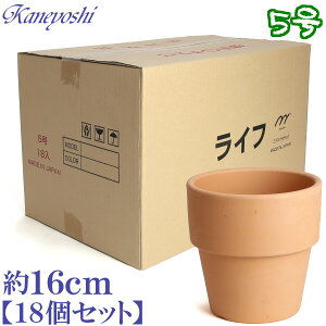 Aؔ   TCY 16cm Ct5 f 18