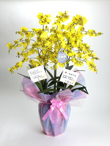 G}  IVW[ 6{ CG[ F CeA j  t[Mtg 傫 G} Mtg  CeAO[ LOi oY a  \ Vz JX j  