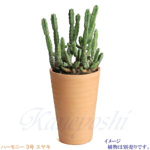 プランター 植木鉢陶器 白の人気商品 通販 価格比較 価格 Com プランター 植木鉢陶器 白の人気商品 通販 価格比較 価格 Com