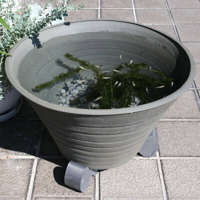 楽天市場 お買い得セット 水鉢１６号 めだかの家 睡蓮鉢 めだか鉢 金魚鉢 水鉢 陶器 大型 おしゃれ 手造り エンシャント 植木鉢 メダカ鉢 七輪のどっちゃん