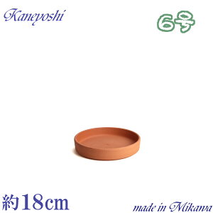 y󂠂z MAM Aؔp ԏ 6 M \[T[  { O͏ Aؔ  TCY 18.5cm KF eRb^ ďv 󂯎M ƒ؉ K[fjO    i`