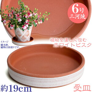 y󂠂zAؔp MAM 6 zCgrXN M \[T[  { O͏ Aؔ  TCY 22.5cm sNF eRb^ ďv 󂯎M ƒ؉ K[fjO   