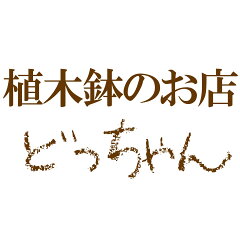 植木鉢 メダカ鉢 七輪のどっちゃん