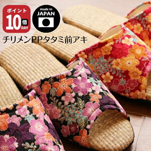 Dolphin { ߂ԕ OAL PP^^~Xbp(S.M)htBXbp  