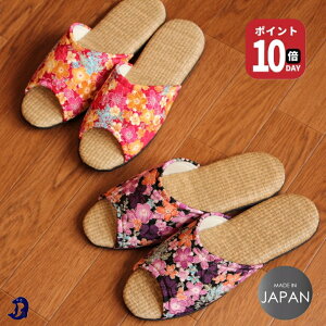 Dolphin { ߂ԕ OAL PP^^~Xbp(S.M)htBXbp  