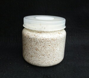 gn[Xz^Cv@uiIIq^P ێNA{gSRDO|HG|500mliui95j