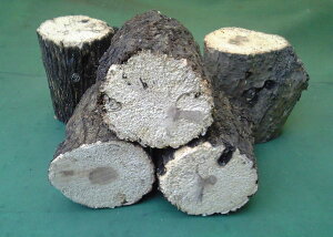 Y؁@BNX@TCY@5{ZbgiNkMAij