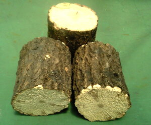 Y؁@iǎNkMށj@BNX@TCY@@NK^̎YAYAIIN̎YAJugṼGT