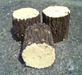 産卵木　（良質クヌギ材）　特Bクラス　ビックサイズ