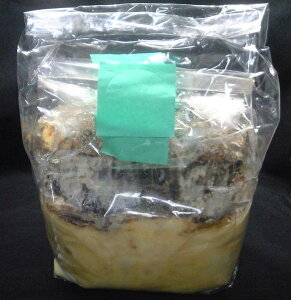 I@JۏCVށiY؁j@2{Zbg NK^̎YAYAIIN̎Y