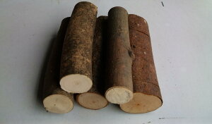 ̎~܂؁@a30`60~i150`180~j^̓]|h~ɂ߁I