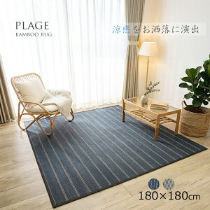 ���萔�����|���O�s���萔�����|���O �v���[�W��natural taste 180×180cm�t�i�`�������e�C�X�g �o���u�[���O �l�C�r�[/�O���[