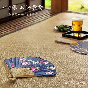 ōĩZKقgpłsZK  ~ v~A ]ˊԃJ[ybg ]ˊ4.5t VRfނ̔ƁA㎿ȔG˔v~AȈꖇBIꂽ