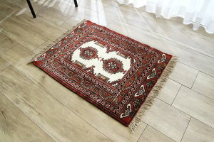 ygN gCoO TR2123zTR2123@83×64cmD@gCoO@bhn@MtgΉ@iE[D