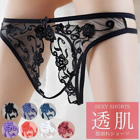 セクシーショーツ ランジェリー 単品 オープンクロッチ 穴あき 股割れ クロッチオープン オープンショーツ パンティー パンティ パンツ 透け透け スケスケ レディース 女性 セクシ-ランジェリー 超過激 エロ 過激 エッチな下着 セクシー下着 エロ下着 エロい 下着 勝負下着