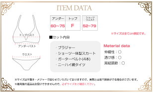 セクシーランジェリーブラショーツ上下セットシースルーセクシー下着3in1スリーインワンガーターベルトセット勝負下着透けブラシースルーエロ過激勝負下着sexylingerieベビードールエロいインナー
