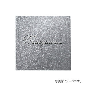  `^ NX `^ؕ&`^ TIK-302