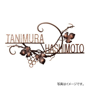  j[uXACA ACA (ۖ_) (j[uXACA) IR-87