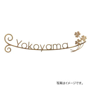  j[uXACA [U[Jbg IR-106