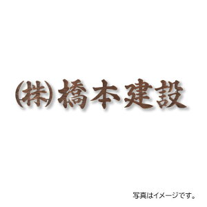  ٖEƃTC j[uXACAٖ IRZ-16