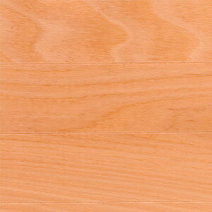 Ebh XPA[ubN ui FS2211-B NAh  tA