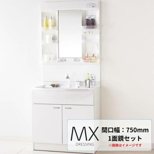 Panasonic AWE ʑ MXV[Y W750 1ʋ ~ߎdl VOo[V[ ʉϑ ʃhbVO { pi\jbNAWE