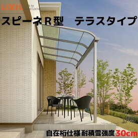 テラス屋根 スピーネ リクシル 間口5000×出幅2085mm テラスタイプ 屋根R型 耐積雪対応強度20cm 自在桁 リフォーム DIY