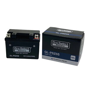 y|CgUPzoCN obe[ GROM MSX125 WAVE DREAM 125 /Pro Select Battery GL-PSZ5S(YTZ5S݊) (WF^Cv t[d)y񂹁z