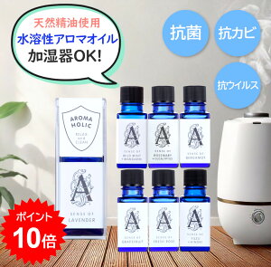 [BFs|Cg10{][OK] VR n A}IC R RJr RECX nA}IC A}zbN 10ml x_[ [Y xKbg O[vt[c ~g }