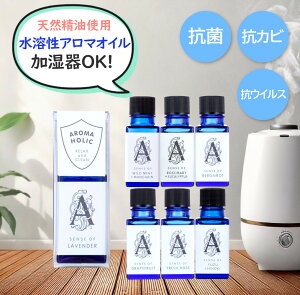 [11/1`1,870~ɉi][OK] VR n A}IC R RJr RECX nA}IC A}zbN 10ml x_[ [Y xKbg O[vt[c ~g 