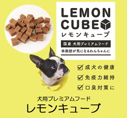 楽天市場 ドッグフード 犬用おやつ 国産 無添加 レモンキューブ 100g 犬 体臭 口臭 ダイエット 犬用 サプリメント 近畿大学と共同開発した国産ドッグフード ドリームリアライズ