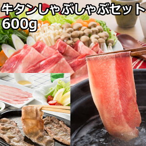 Ε Ε Mtg  2024 Hו  ^ Ԃ 600g ۂ| Zbg ^ Ă CX^f  yY 蕨 j  䋟 ̂  \