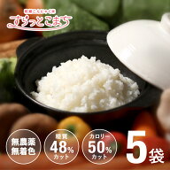 初回限定 こんにゃく米 乾燥 個包装 低糖質 お試し こんにゃく マンナンライス ダイエット食品 ダイエッ…