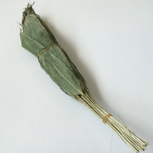 Y t̗t  50 XYyaَqޗzz֔ẑ