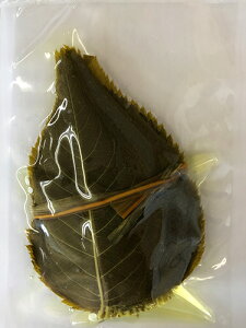 t () Ђ 50 yaَqޗz̉Ђ ̗t Y