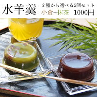 【送料無料】水ようかんぬれ納豆入り選べる5個セット小倉抹茶
