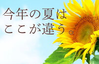 【送料無料】水ようかんぬれ納豆入り選べる5個セット小倉抹茶