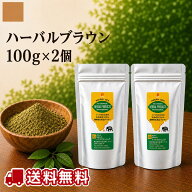 白髪染め ヘナ P02ハーバルブラウン 100g×2個セット カラー(茶系) 送料無料　ゆうパケット便 日本全国同…