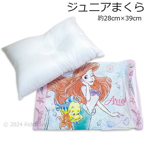 AG  ܂ Jo[t 28×39cm |GXe100 Ariel fBYj[ Disney Q 2024N