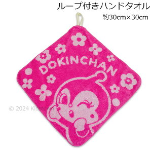 Ap} WK[hD [vtnh^I ihL񕿁j 30cm×30cm ^I [v^I [vnh^I anpanman 2024N