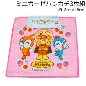 Ap} ~jK[[nJ`3g ڕ 18×18cm { ^I ^InJ` nJ`^I v`^I 2024N