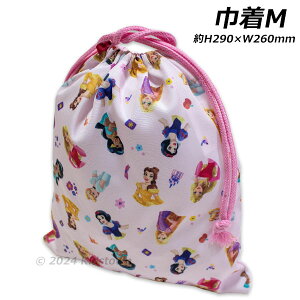 vZX В M H290×W260mm Gv ̑ 㗚 C HGv Disney PRINCESS 2024]2025N