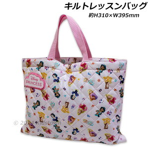 vZX LgbXobO H310×W395mm |GXe100 LgobO  obO Disney PRINCESS 2024]2025N