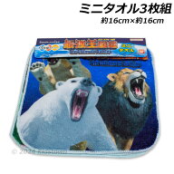 最強王図鑑 ミニタオル3枚組 約16×16cm ポリエステル60％・綿40％ タオル ハンカチ プチタオル 動物 昆…