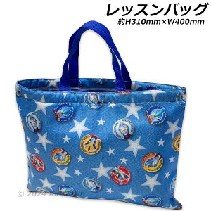 Eg}A[N bXobO H310×W400mm Egq[[Y |GXe100 񂰃obO g[gobO 2024]2025N