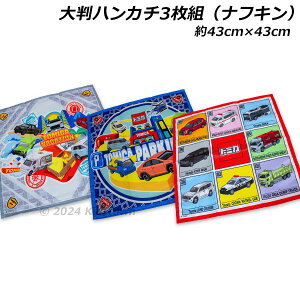  g~J 唻nJ`iitLj3g |GXe100 43×43cm ` `NX tomica ^Jg~[ 2024N]2025N