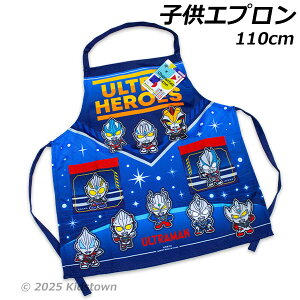  Eg}A[N Gv 110cm 44×40cm |GXe100 Egq[[Y ǂGv 2025N