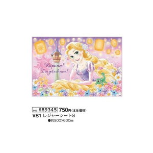 vcF fBYj[ W[V[gS 1lp VS1 90cm×60cm Disney ~  sy W[ 2025N