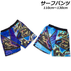 �|�P���� �T�[�t�p���c ���� �X�C�~���O�p���c �C���p���c �C�p�� �|�P�b�g�����X�^�[ �X�C���p���c �}�����E�F�A �X�C���E�G�A 2025�N